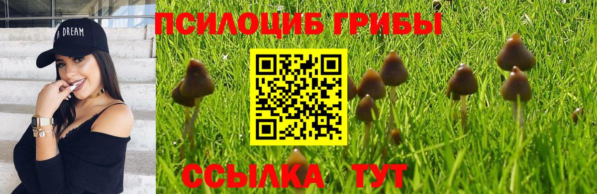 Псилоцибиновые грибы GOLDEN TEACHER  Псилоцибиновые грибы ЛСД  Семилуки  Вход с VPN 