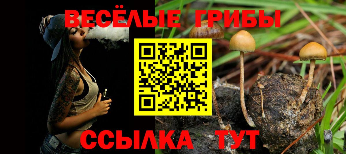 Галлюциногенные грибы ЛСД Семилуки
